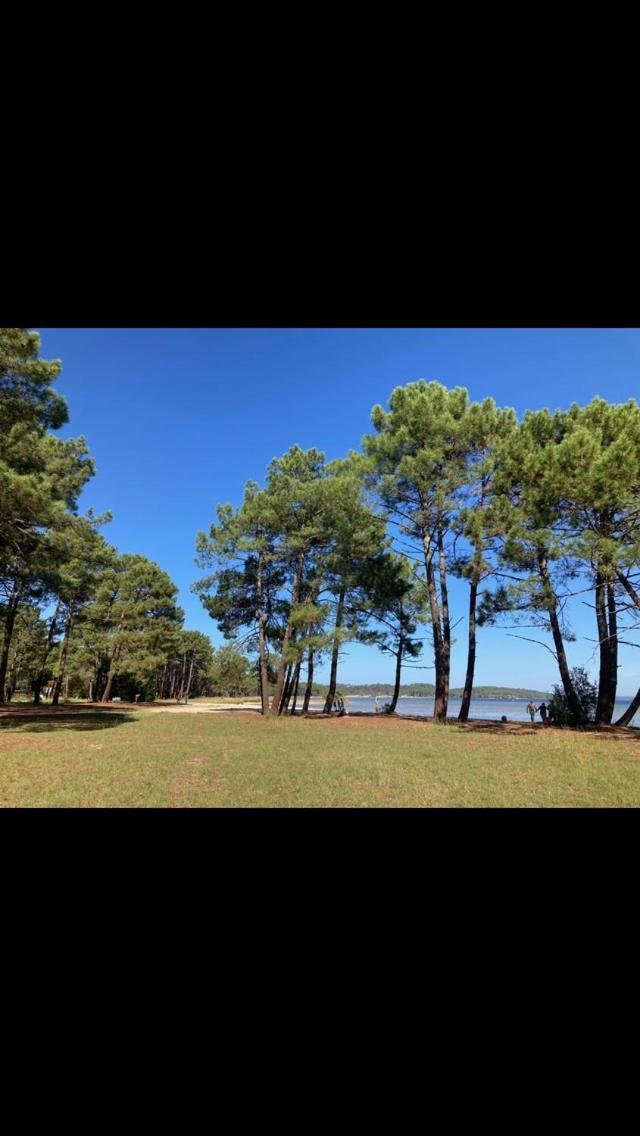 Villa Dune Бискарос Екстериор снимка